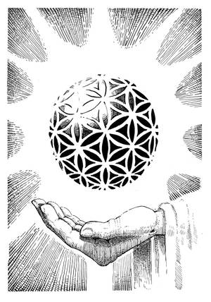 Flower of life by AtanaSumi Flower of life by AtanaSumi