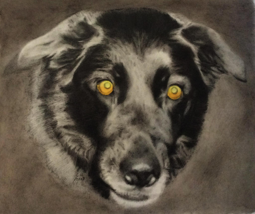 Black Lab Deviantart Black lab by Isadorrah on DeviantArt