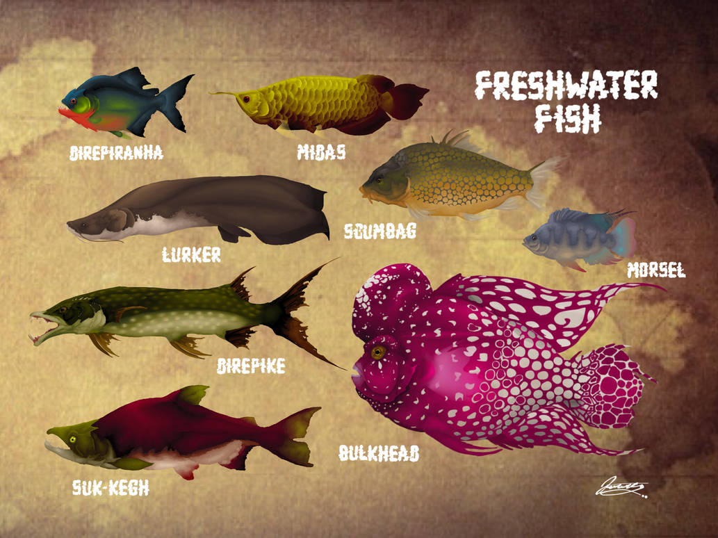 NU: Codex Inverus - Freshwater fish by DjayMasi on DeviantArt