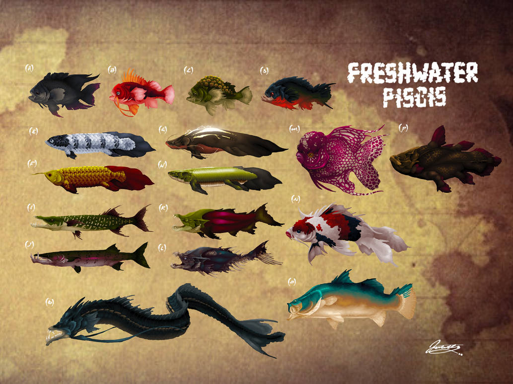 NU:AMAM Codex inversus - Freshwater Piscis by DjayMasi on DeviantArt