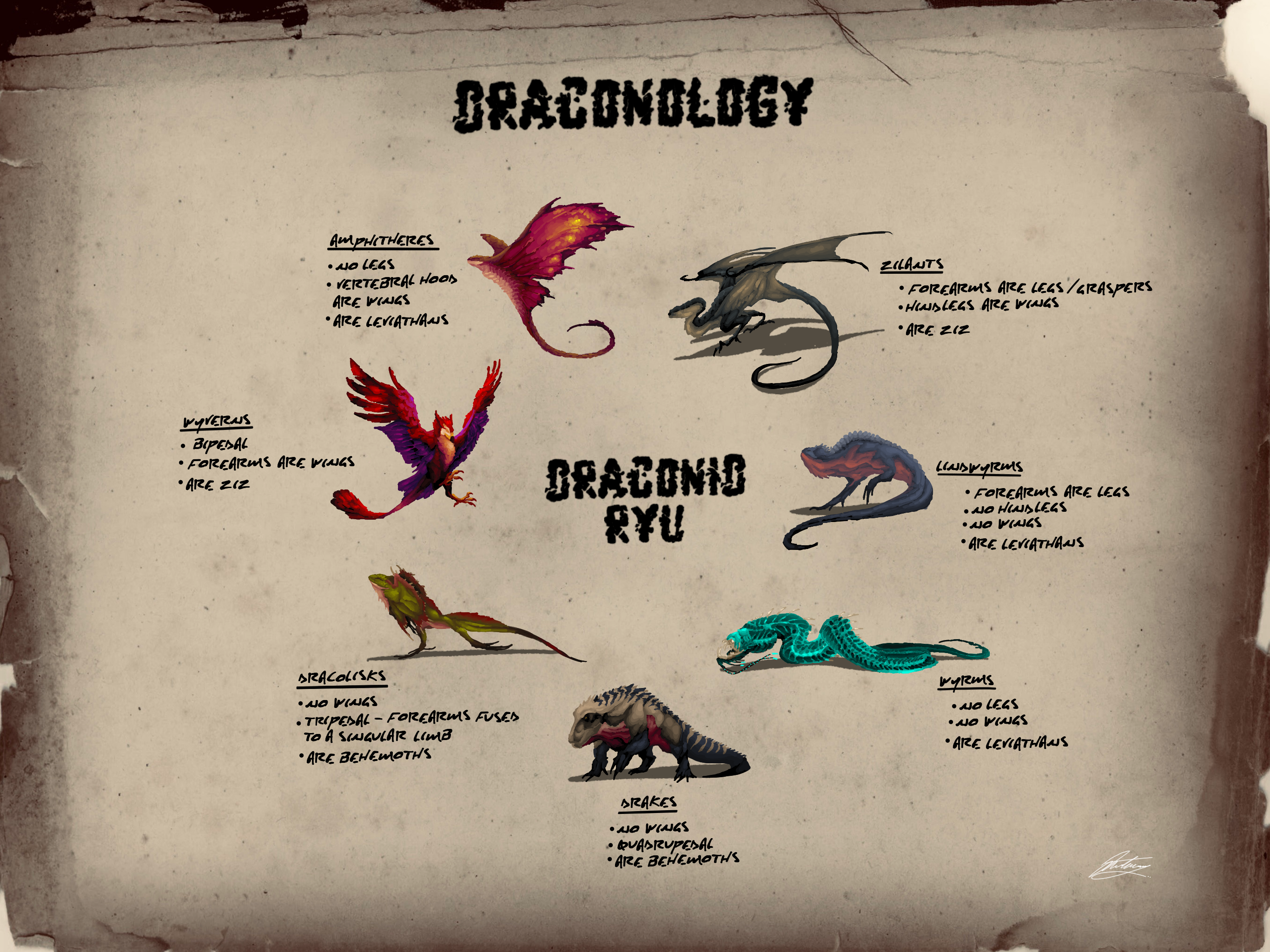 NU:AMAM Case studies - Draconology