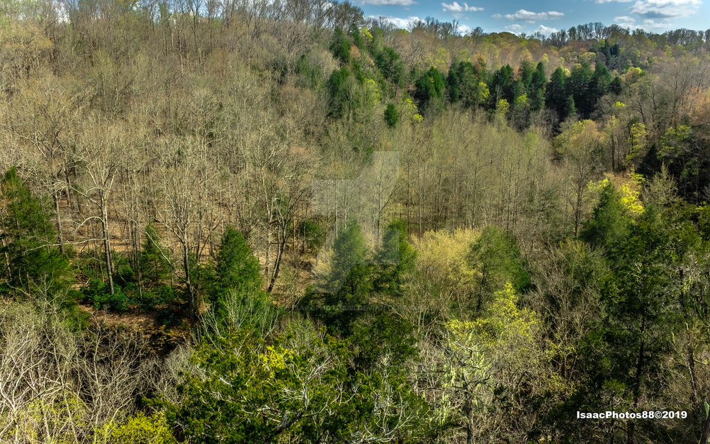 View Over Trees View over the tree tops! by Isaacphotos88 on DeviantArt