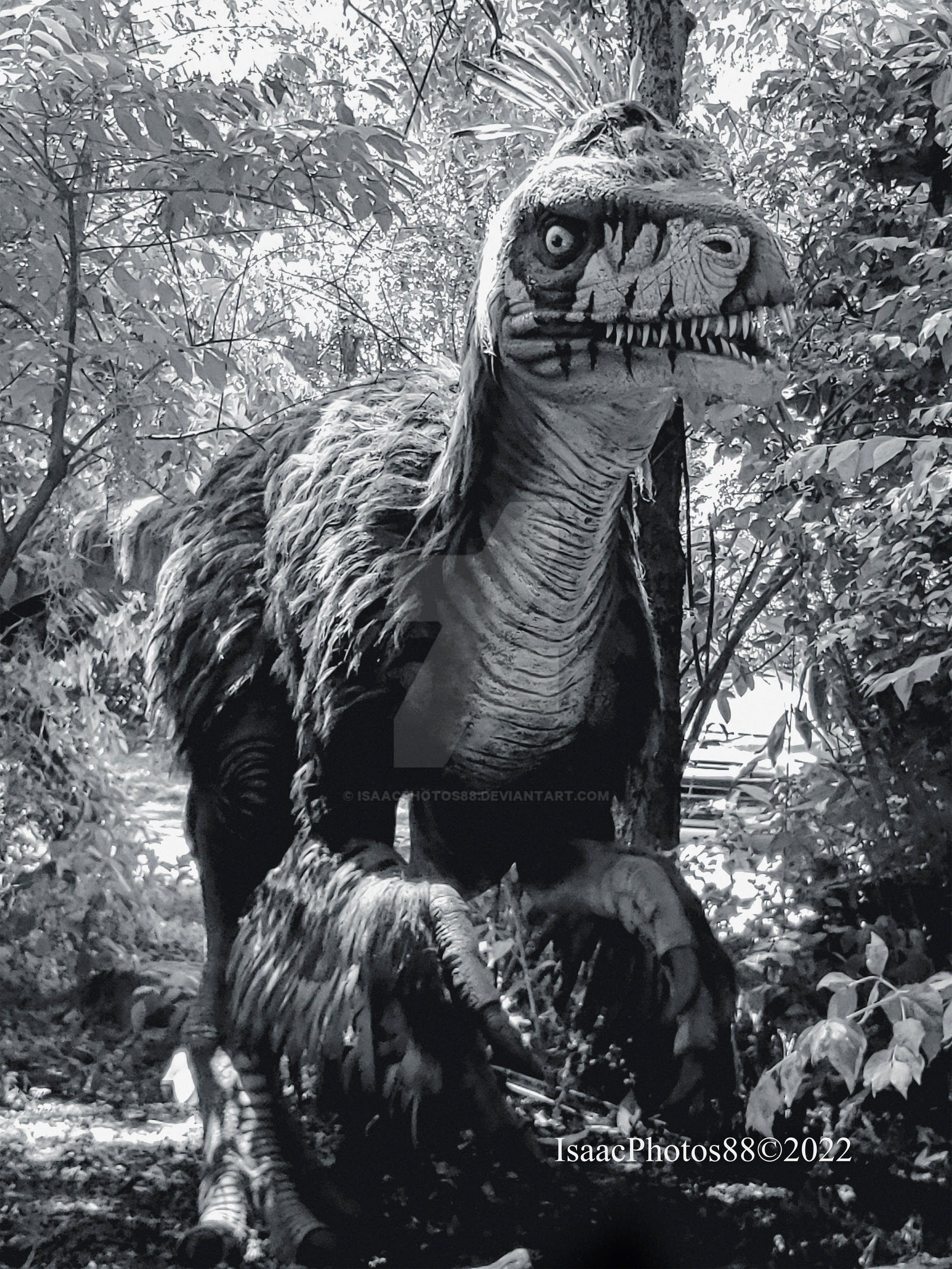 Utahraptor...... by Isaacphotos88 on DeviantArt