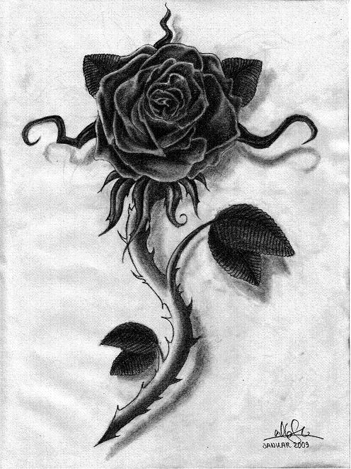 Rose Tattoo