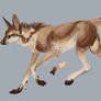 Maned Wolf Hybrid Adopt