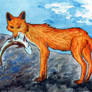 Fox with fish