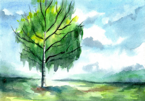 115 - Lonely birch tree