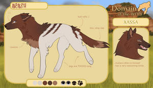 dotw , arash