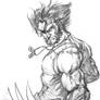 Wolverine sketch