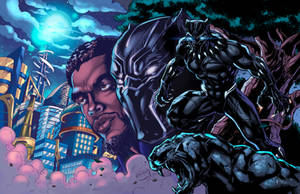 Black Panther: Wakandan Warrior Clrs Night