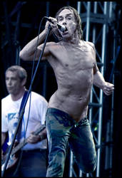 iggy pop