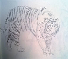 Animal Drawing Practice 6