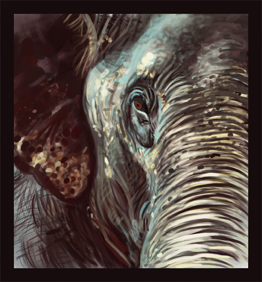 elephant