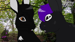 Watership down crossover Ash meets Kylie (Me)