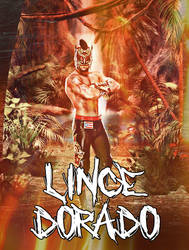 Lince Dorado