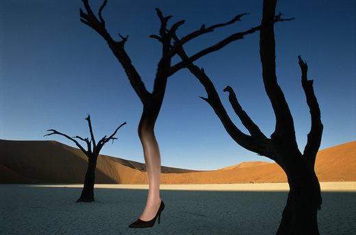 high heel tree