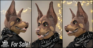 Fawn Doberman Head FOR SALE