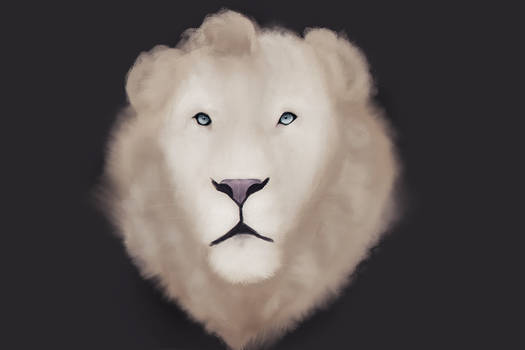 White Lion