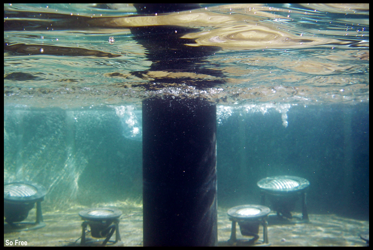 Underwater love