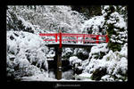 Snowy Kubota Garden 002 by UrbanRural-Photo