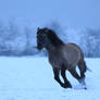 Snow Ride