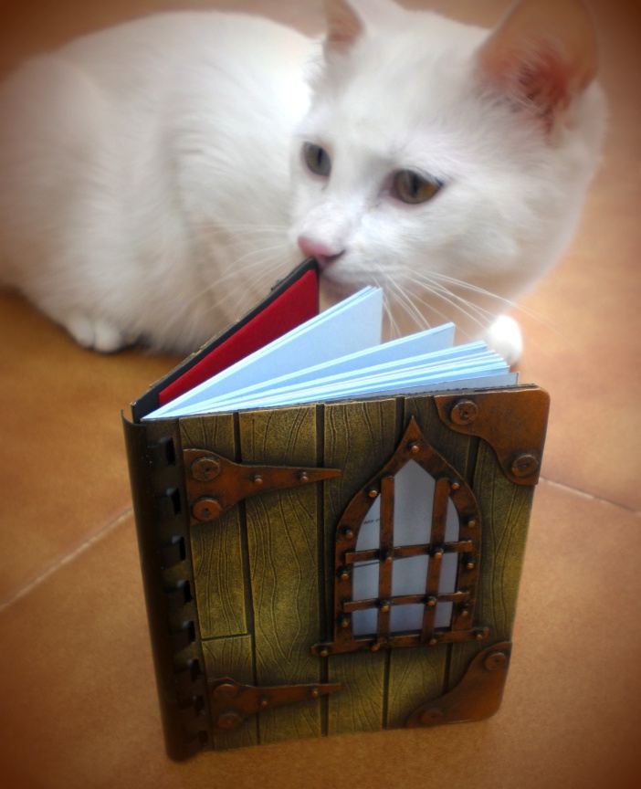 Medieval Notebook and Hugo