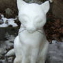 Snow Cat