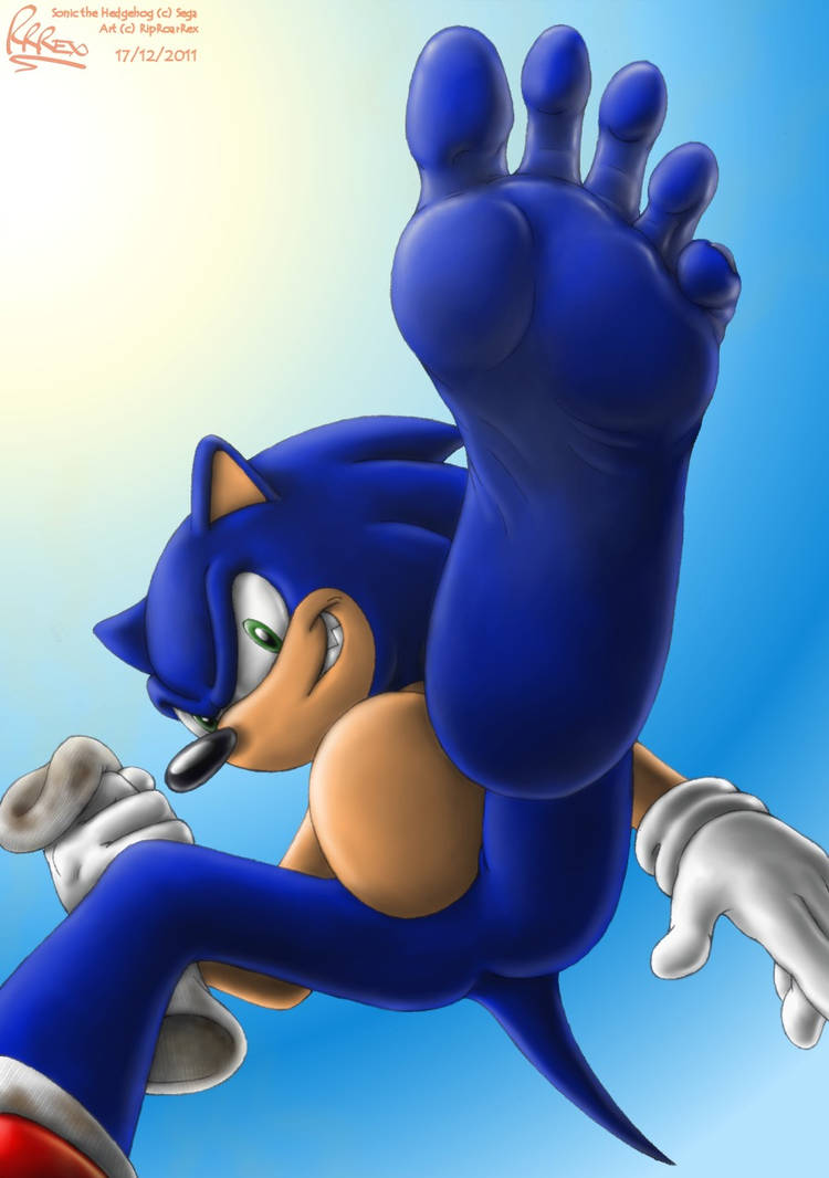 Sonic Riproarrex Sonic Boom by RipRoarRex on DeviantArt