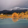 Tekapo Alight