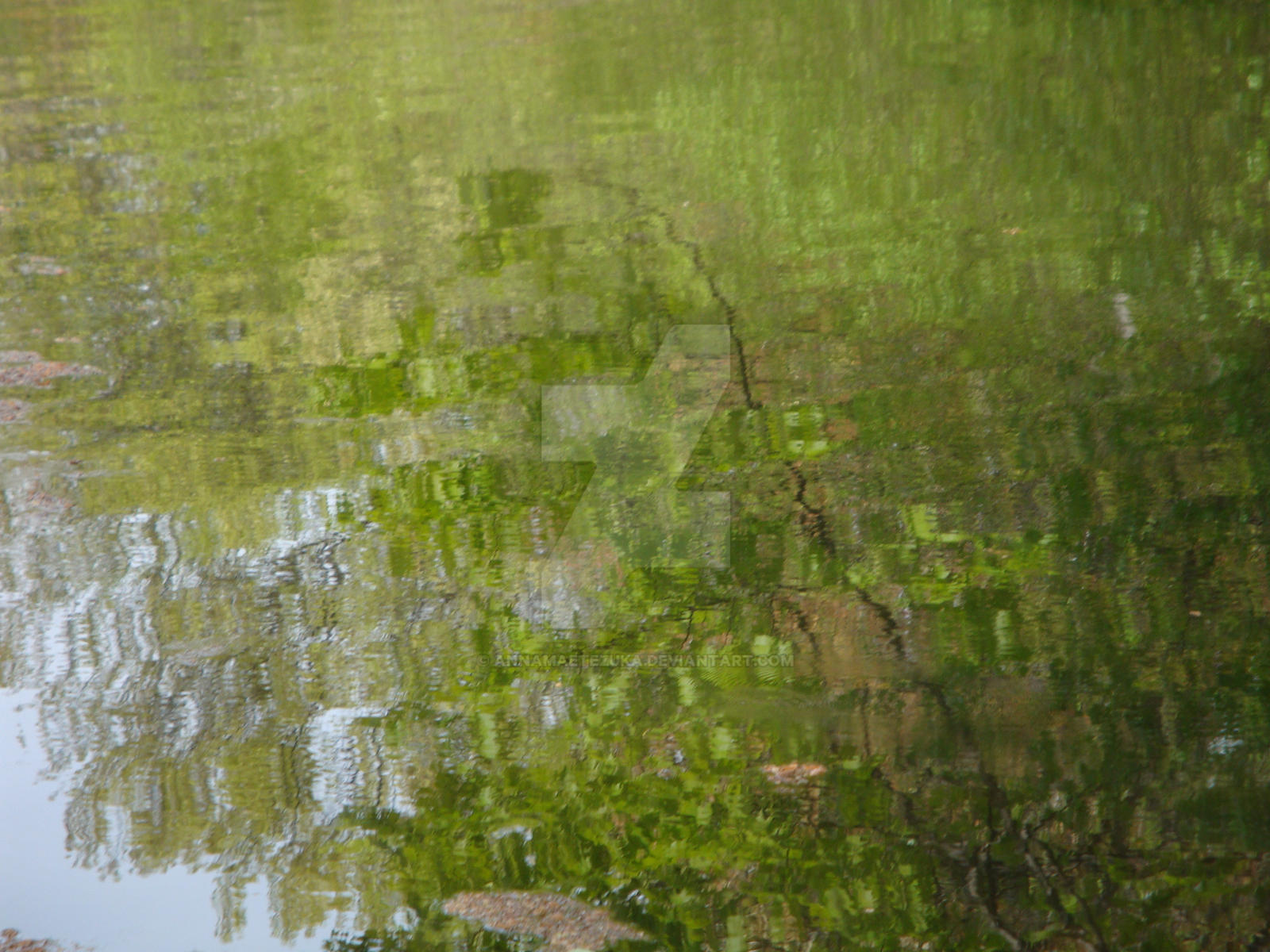 The Lake Paints Trees Like Monet