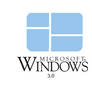 Windows 3.0 logo