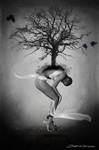 Life by Sedrikone