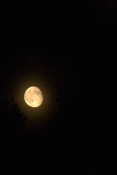 Moon (5)