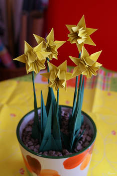 Origami daffodils