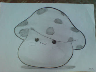 Maplesea - Mushroom