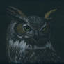 Cristian's Owl - Final - SOLD