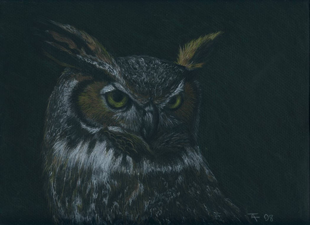 Cristian's Owl - Final - SOLD