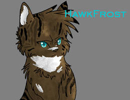 Hawkfrost MsPaint