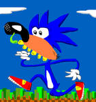 Sonek the Hodgepodge by Art427