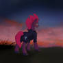 Tempest Shadow
