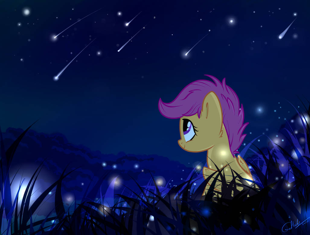 Little pony night