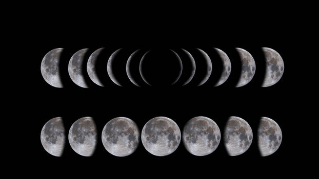 Moon Phases