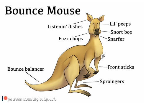 Beasty Bits no. 5 - Bounce Mouse