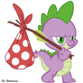Spike`s Quest