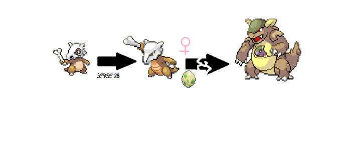 Cubone Evolution Chart Cubone Pok dex cubone-evolution-chart-cubone-pok-dex