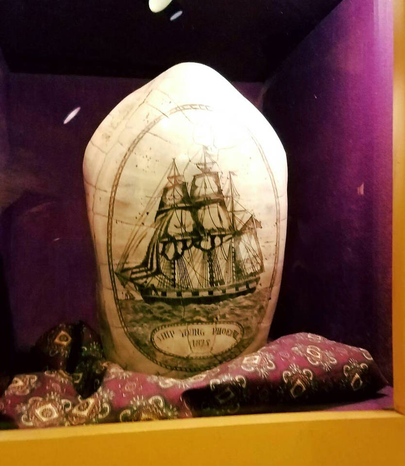 Turtle Shell Art by sashley1001 on DeviantArt