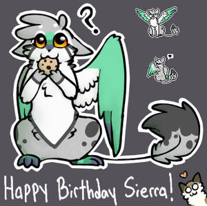 Happy Birthday Sierra!
