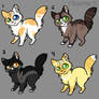 Cat Adoptables | 1 / 4 Left