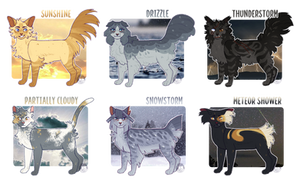 Themed Adoptables #1 - The Weather CLOSED