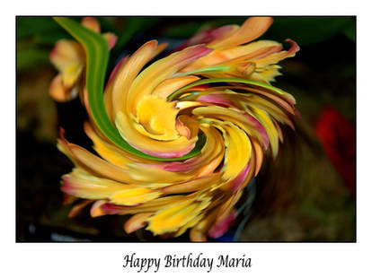 Happy Birthday Maria